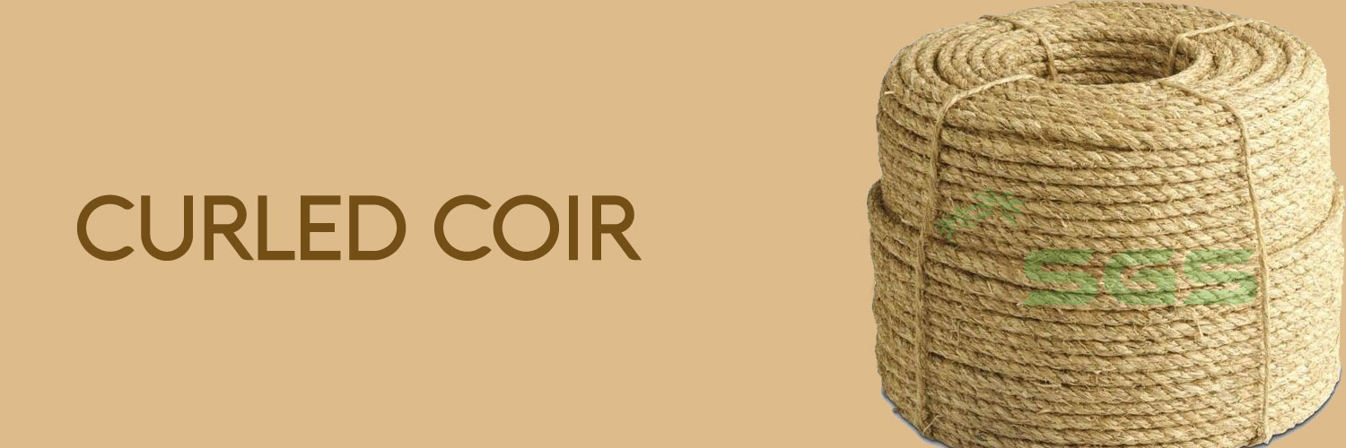 curled coir exporter