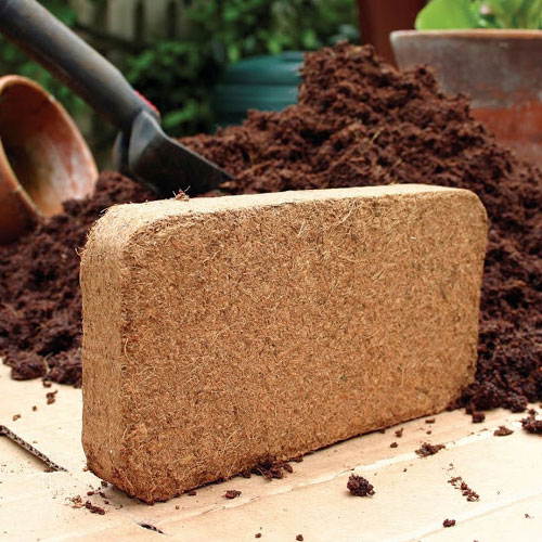 cocopeat exporters