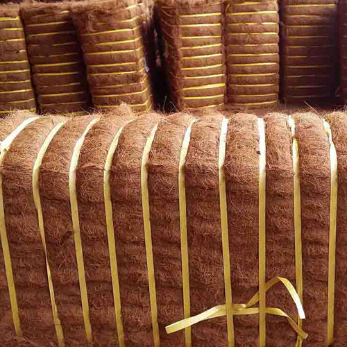curled coir exporters