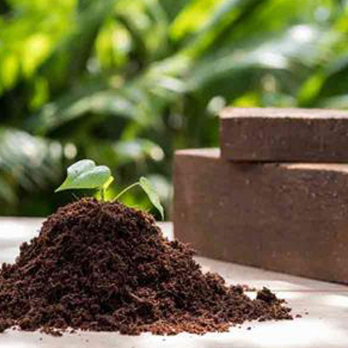 coco product exporter